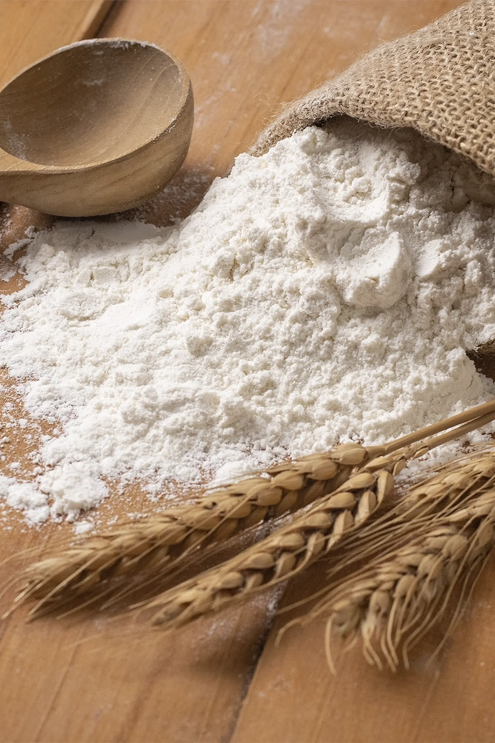 Imagens Internas_M Dias Branco_3